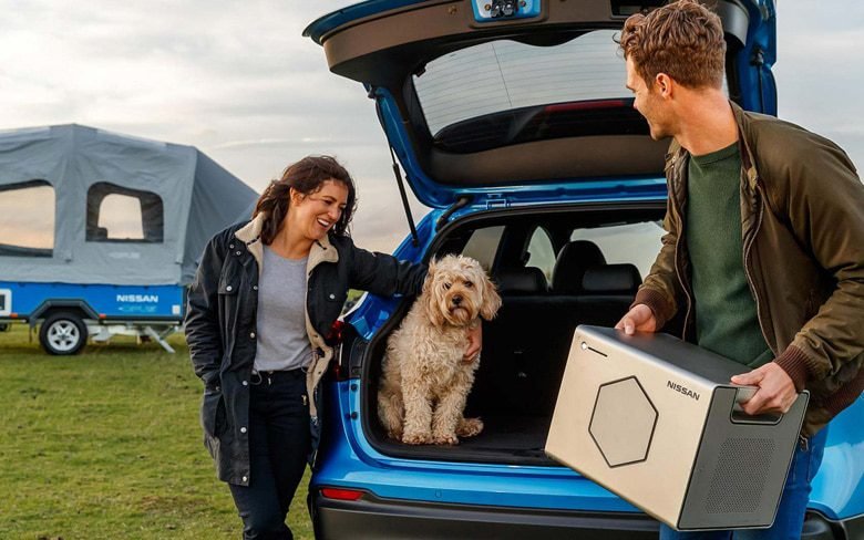Nissan Leaf EV Batteries Holding by A man