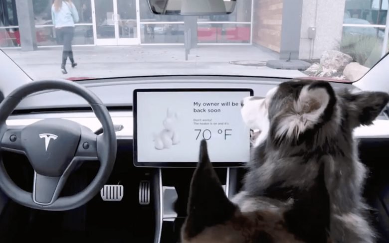 Tesla Dog Mode