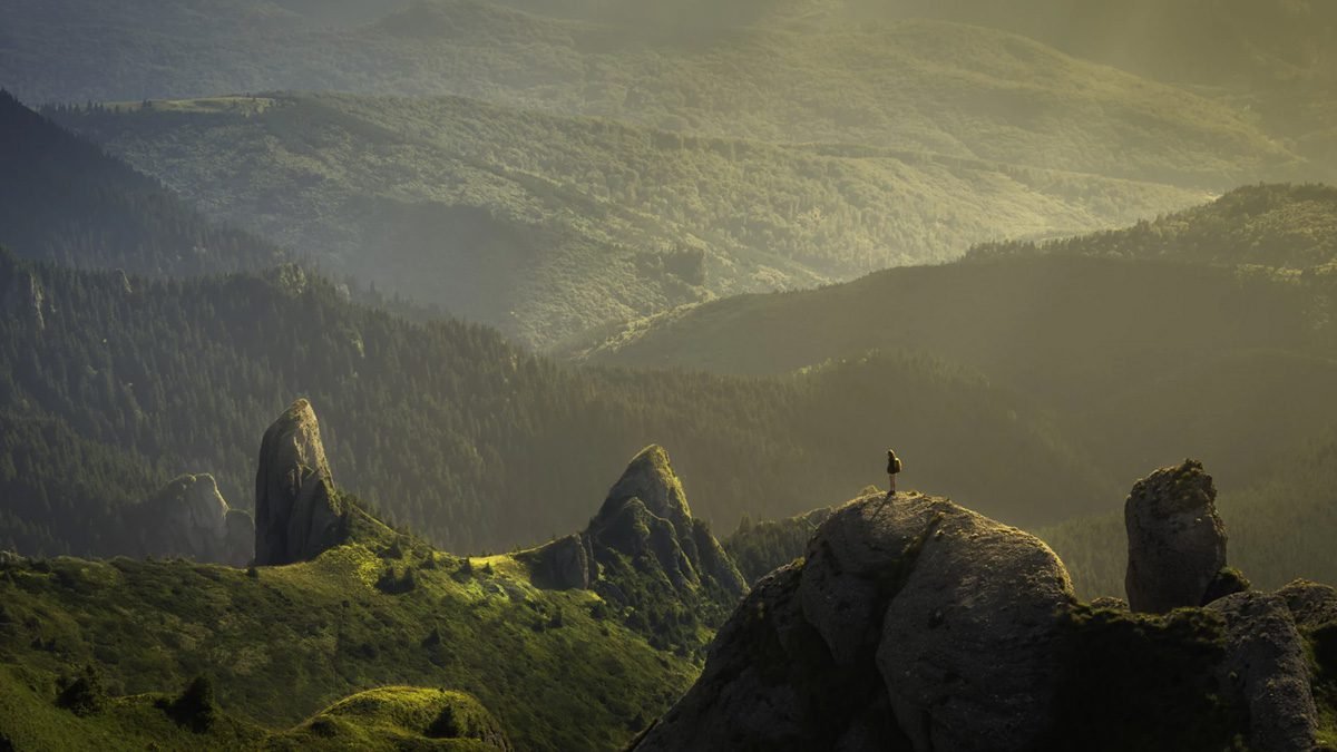 Microsoft Shazam4Nature