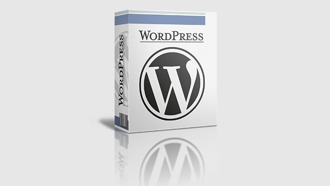 wordpress software