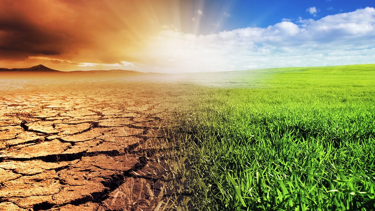 Environmental Issues