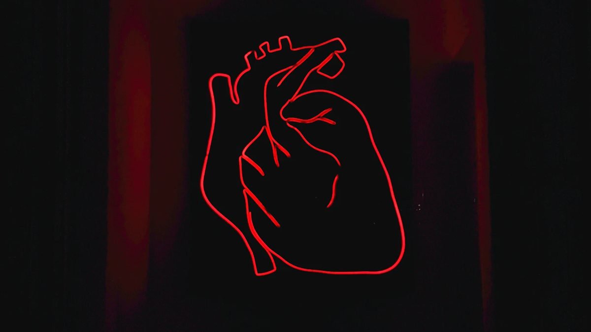 Human Heart Scanning