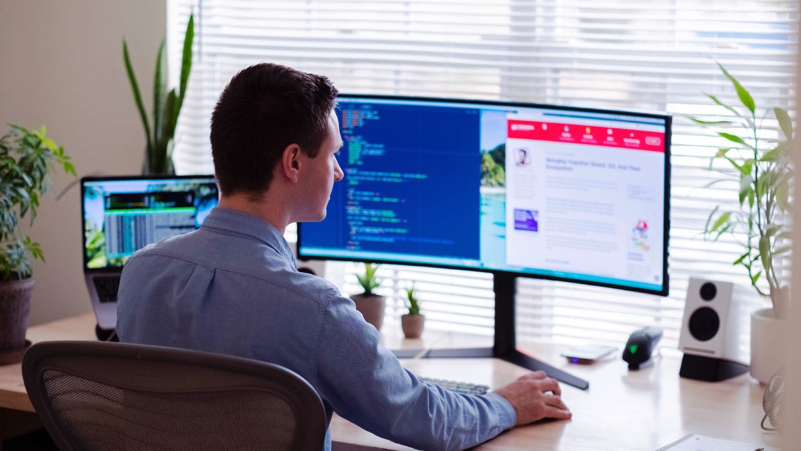 Development Professional Working