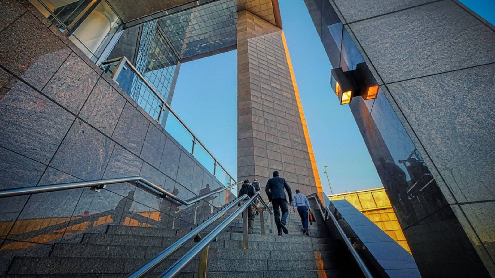 Grow Business Ladder