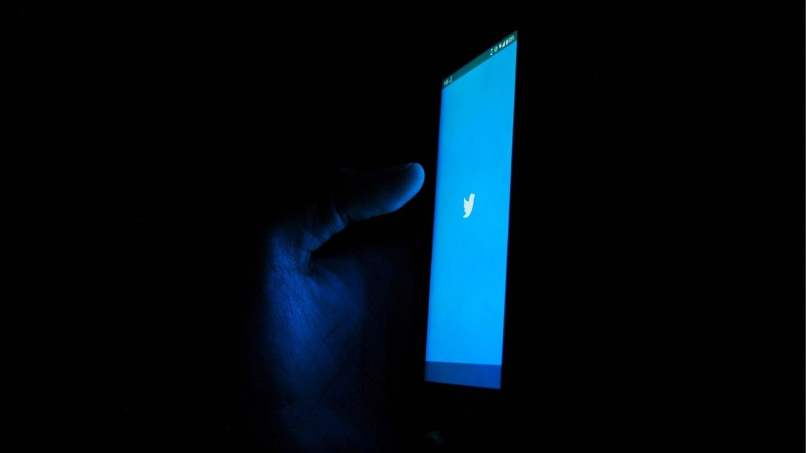 Person Holding Mobile With Twitter App