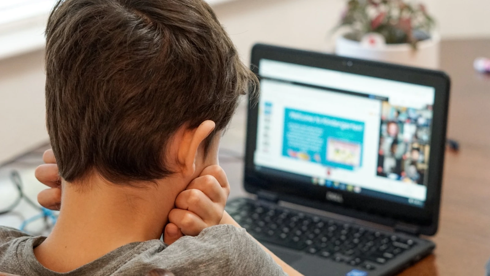 Child Online Safety