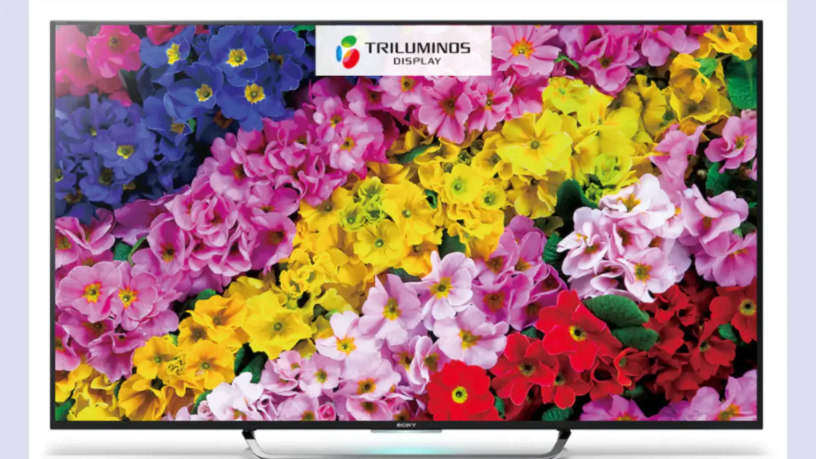 sony bravia tv Sony Bravia XR TV