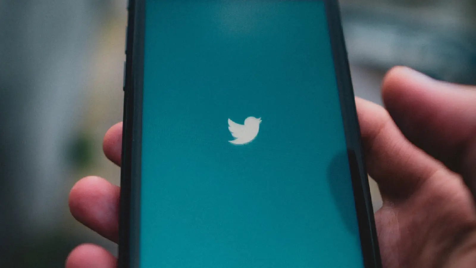 Twitter App Mob Screen