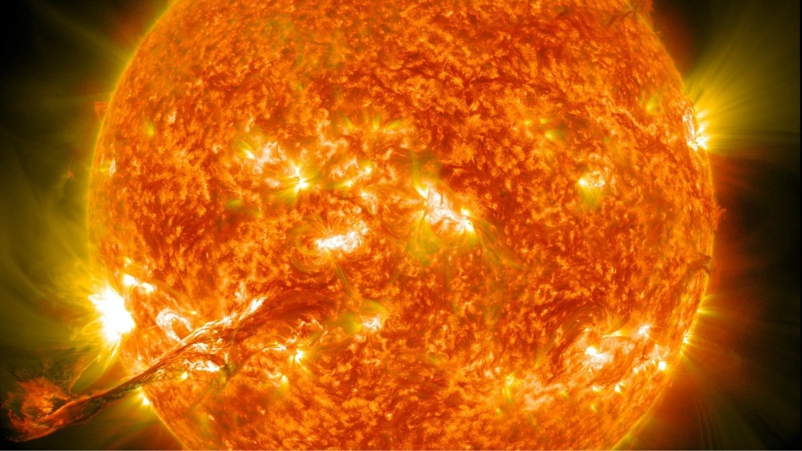 NASA Sun
