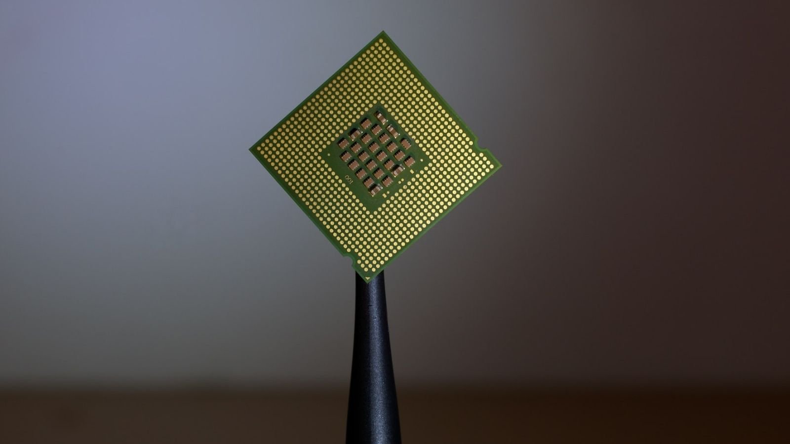 Person Holding Computer Chip