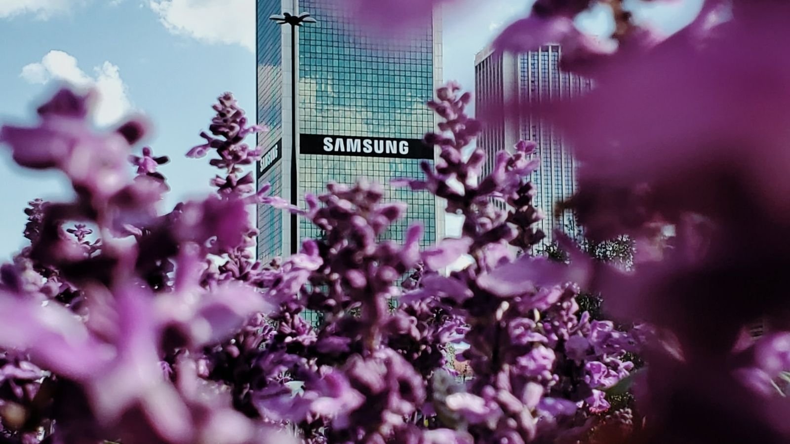 Samsung Purple Flower