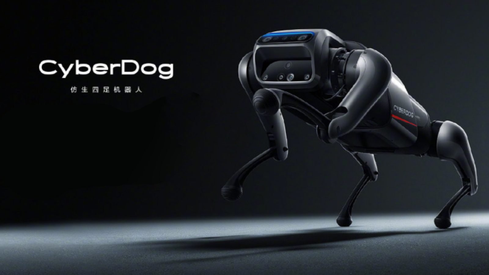Xiaomi cyberdog