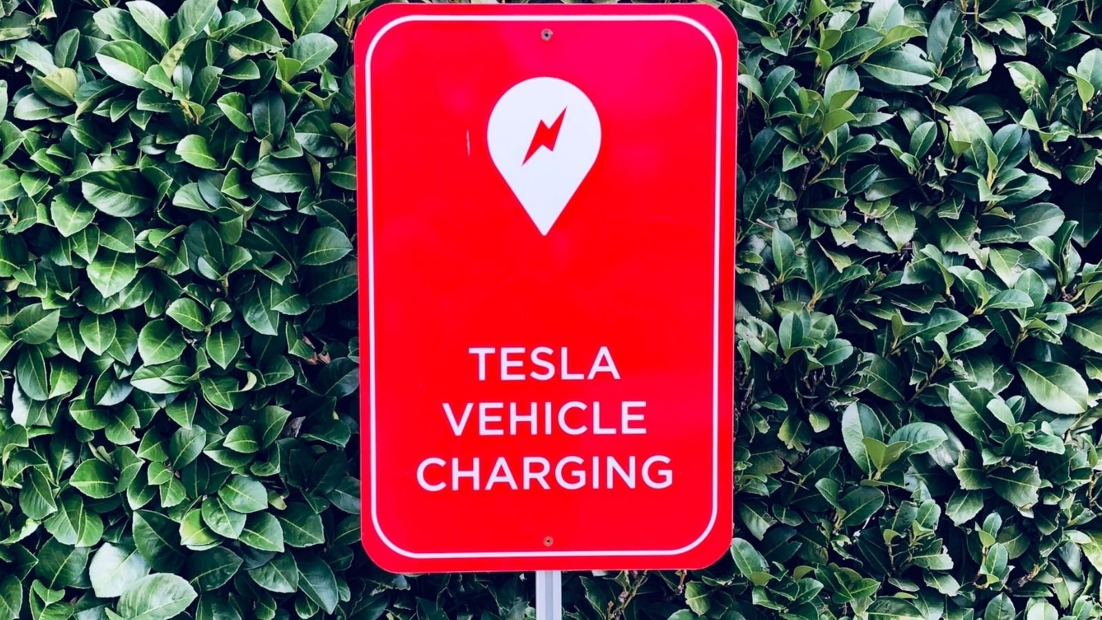 Tesla Vehicle Charging
