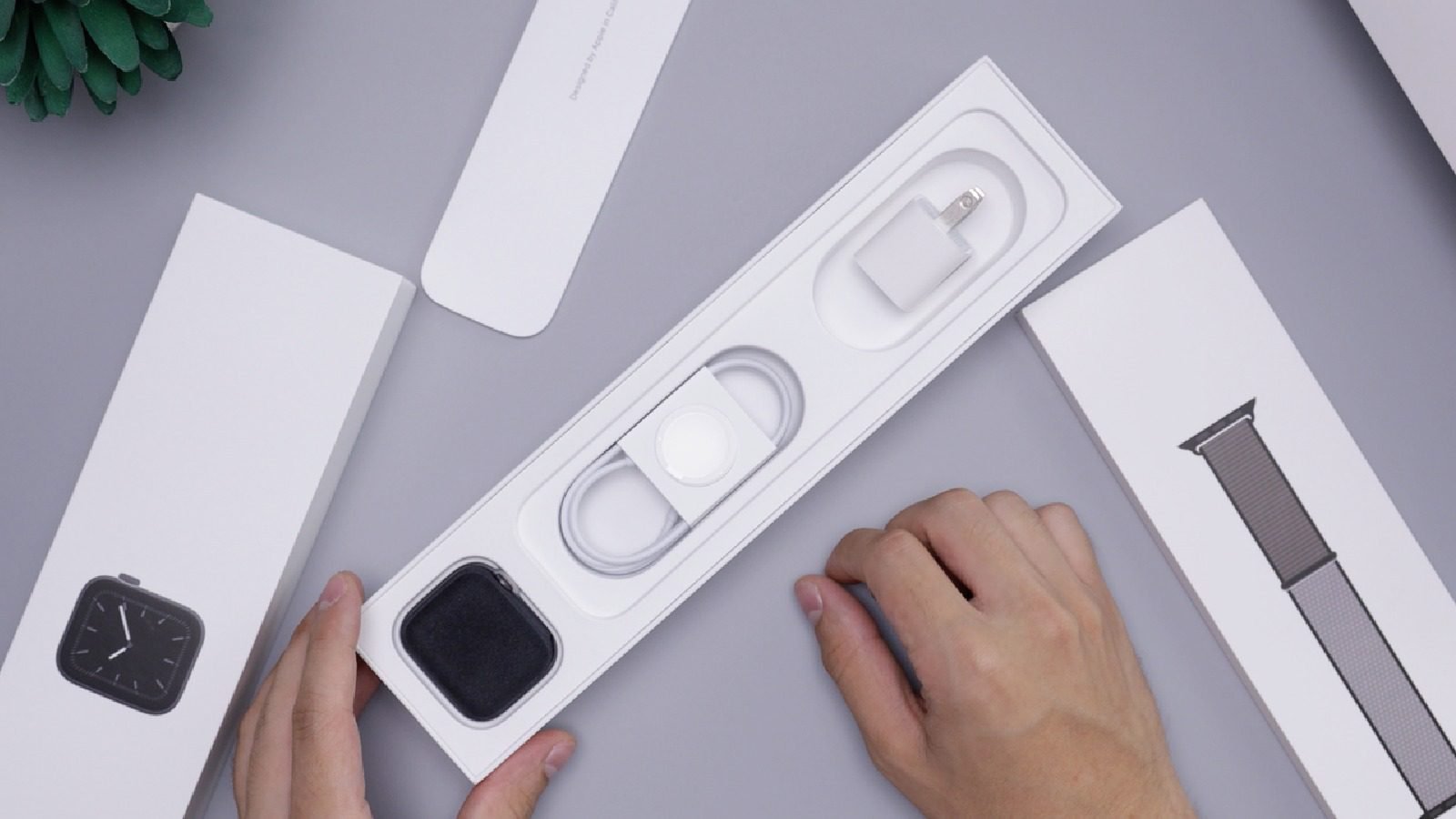 Global Smartwatch Market