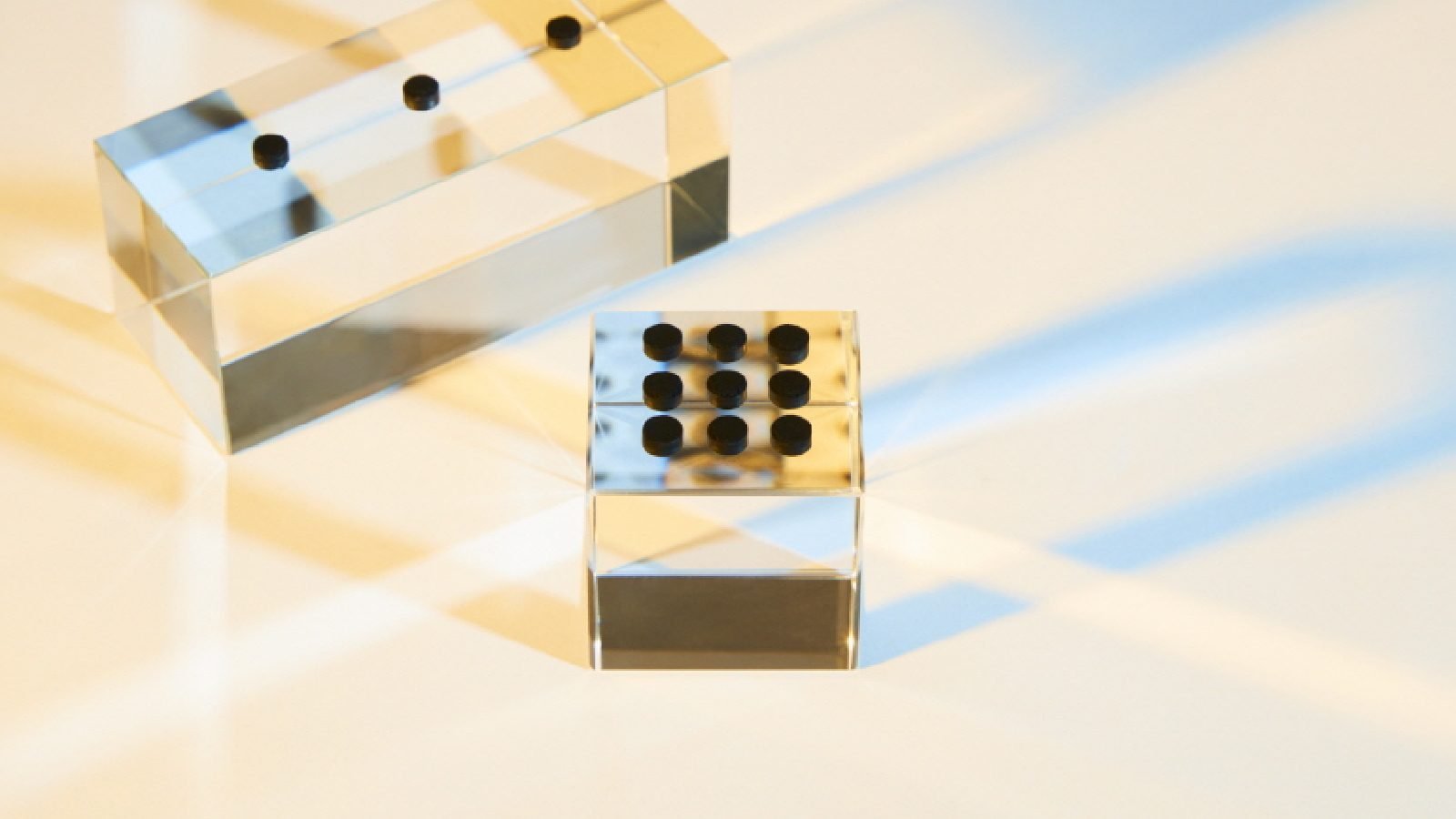 LG Carbon Nanotube Plant