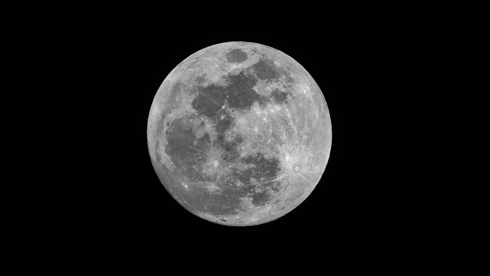 Moon Inherited Chemical Elements