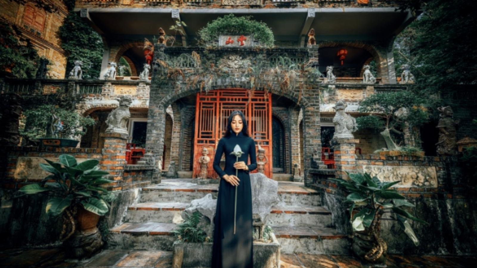 Best Asian flicks movie buff film