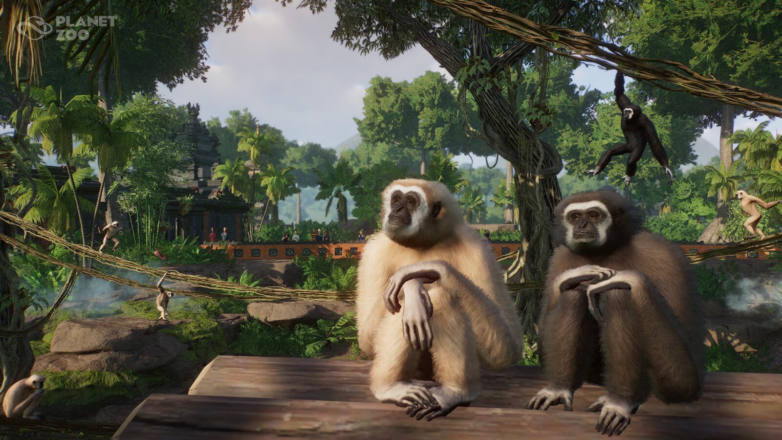 New Zoo Tropical Pack DLC Announced Here's All You Need to Know!