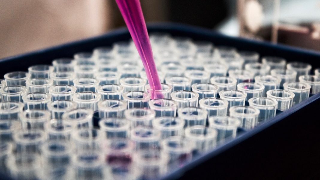 Antimicrobial Resistance Risks