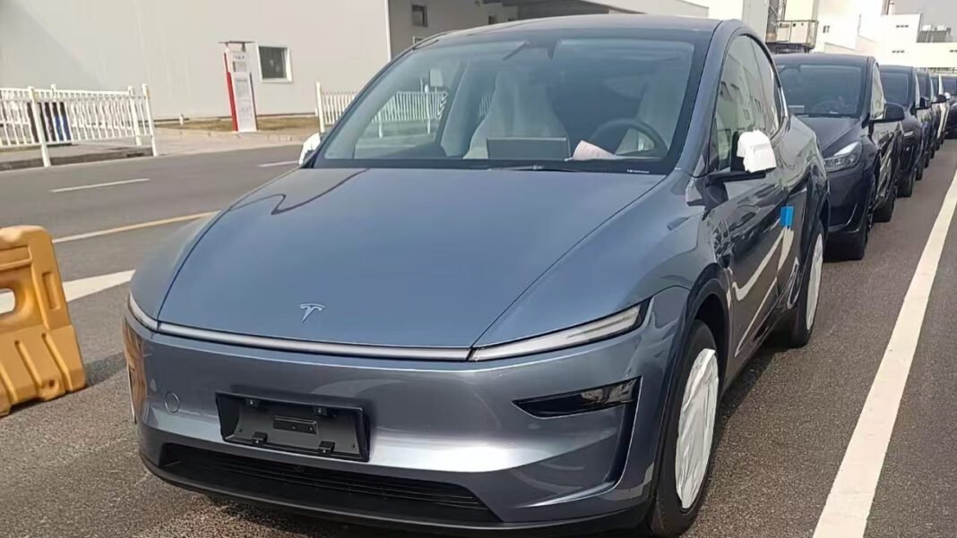 Model Y