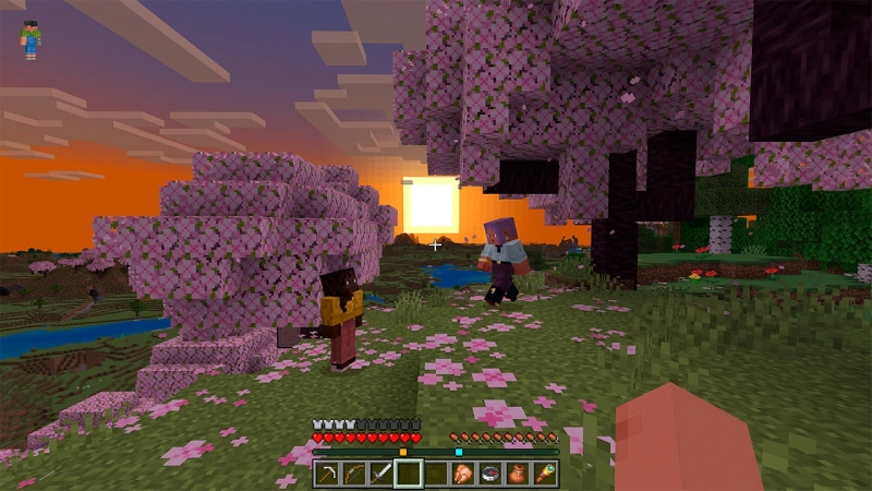 Minecraft scene