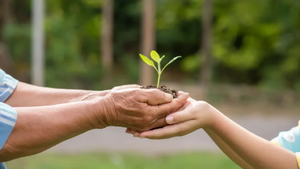 People holding Plant People holding Plant