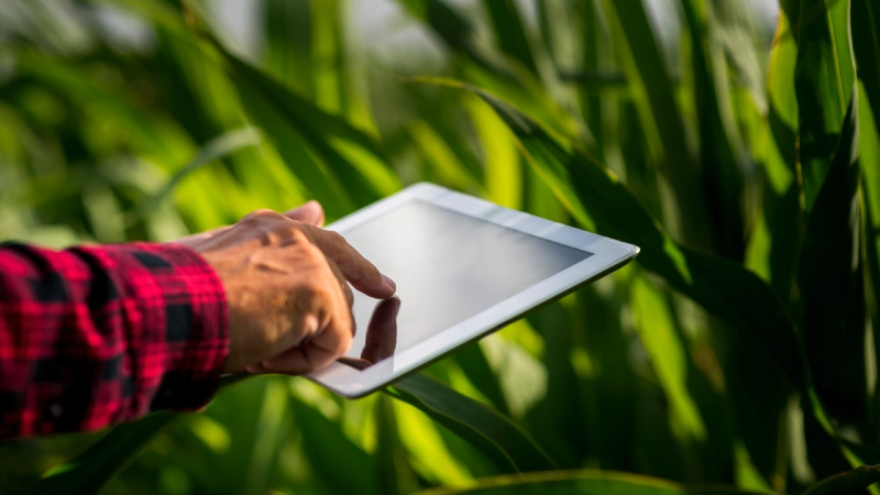 tablet-field