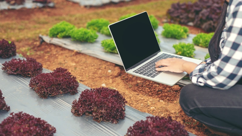 digital farming digital farming