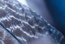 smart fabrics