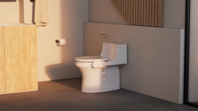 toilet with dekoda