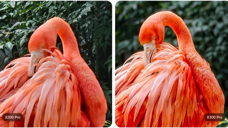 Vivo x300 camera Vivo X300 Pro Camera Quality