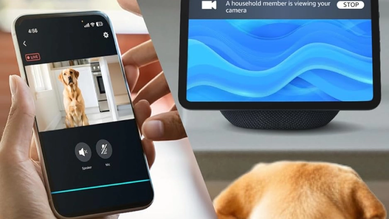 echo smart home Echo Show 11